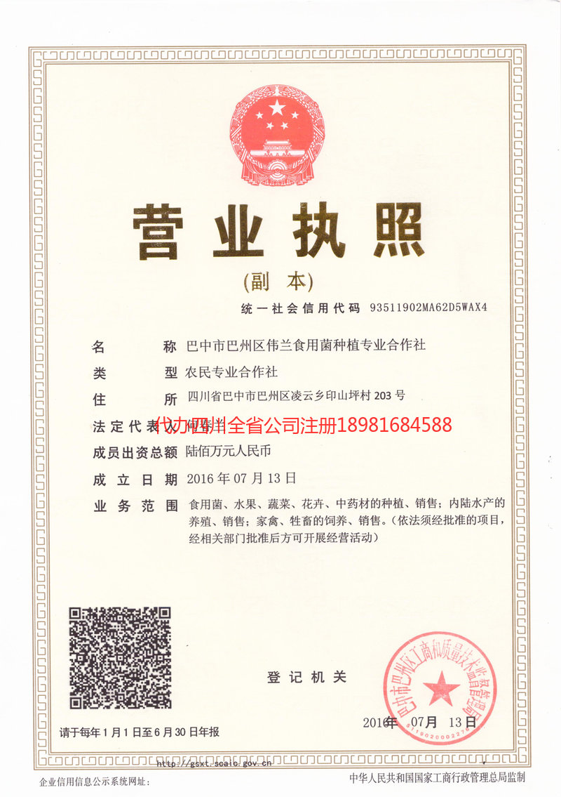 普洱市普洱市伟兰食用菌种植专业合作社